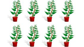 Test na IQ. Która roślina jest inna?