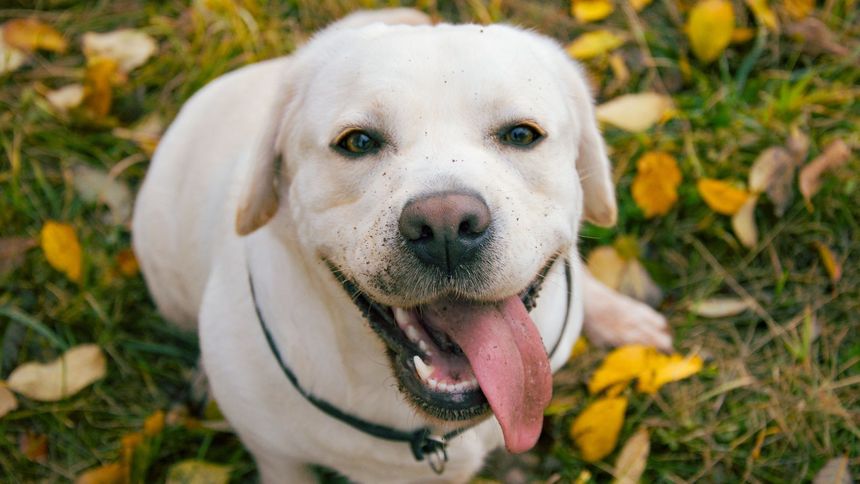 Imię wskazane przez sztuczną inteligencję już teraz cieszy się popularnością.