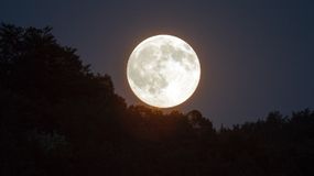 Jeden raz w roku. Czeka nas wyjątkowe zjawisko astronomiczne