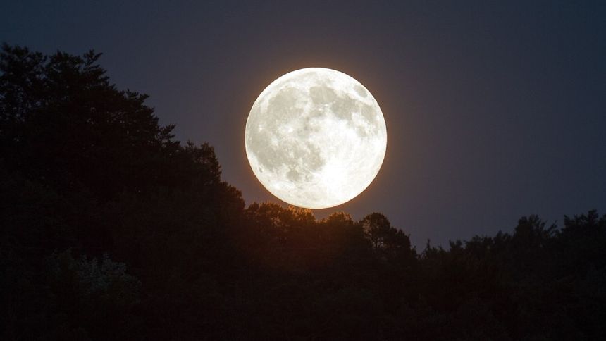 Jeden raz w roku. Czeka nas wyjątkowe zjawisko astronomiczne