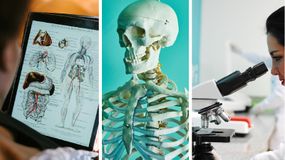 Szybka kartkówka z biologii. Ile wiesz o sobie samym? 16/20 to mus