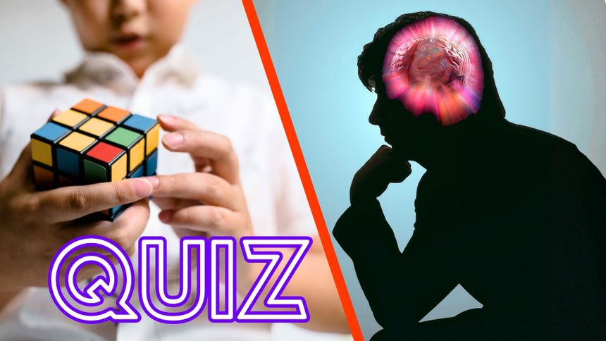 Quiz. Mierzymy poziom inteligencji