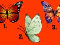 Wskaż motyla i dowiedz się, co wybór mówi o twoim charakterze