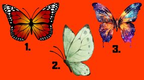 Wskaż motyla i dowiedz się, co wybór mówi o twoim charakterze
