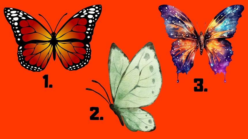 Wskaż motyla i dowiedz się, co wybór mówi o twoim charakterze