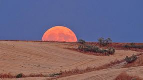 Kiedy obserwować krwawy księżyc?