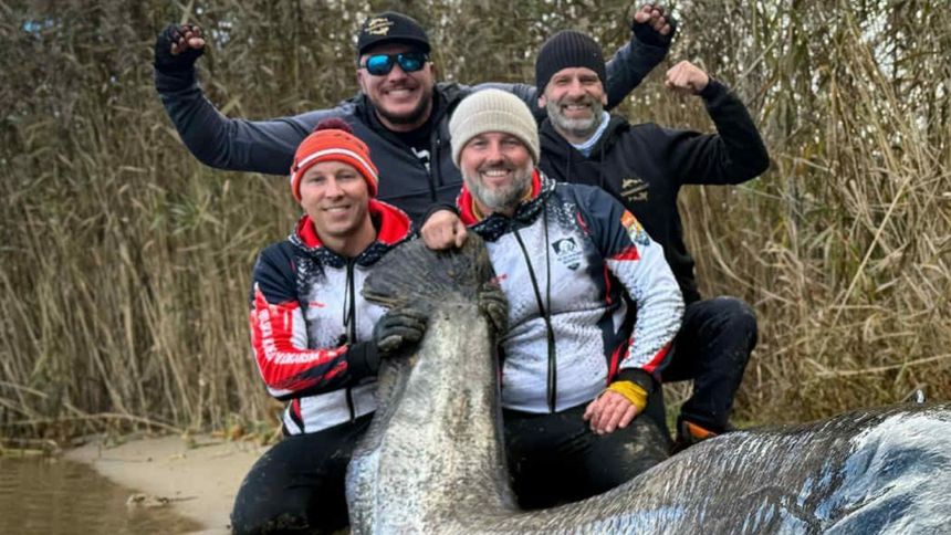 Największy sum świata jest z Polski