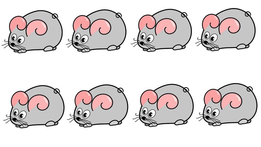 Szybka Optyczna zagadka IQ. Masz na to 7 sekund