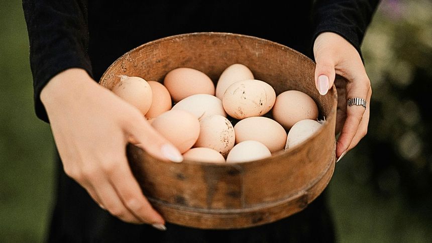 Czy wiejskie jajka rzeczywiście są najzdrowsze?