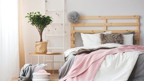 To przyciąga pluskwy