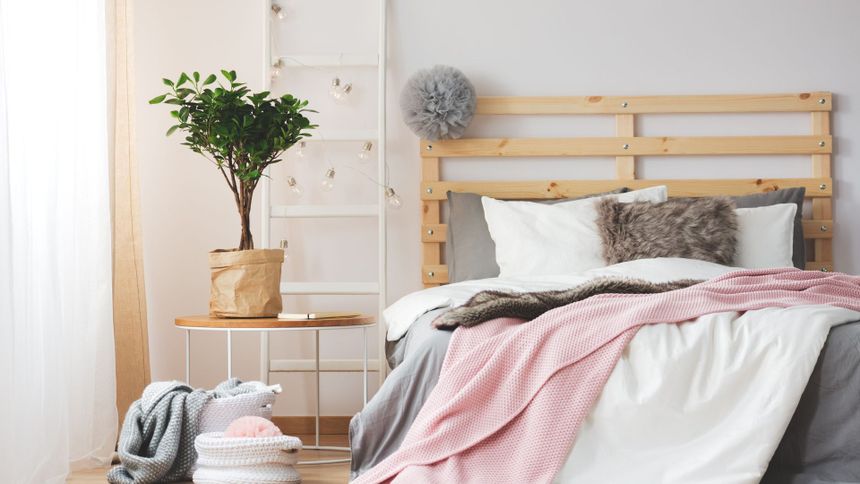 To przyciąga pluskwy