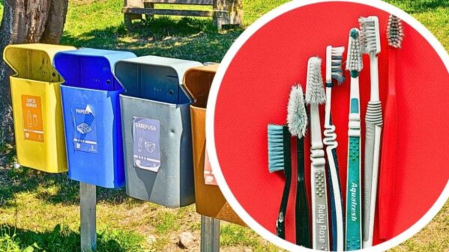 Czy szczoteczka do zębów podlega segregacji?