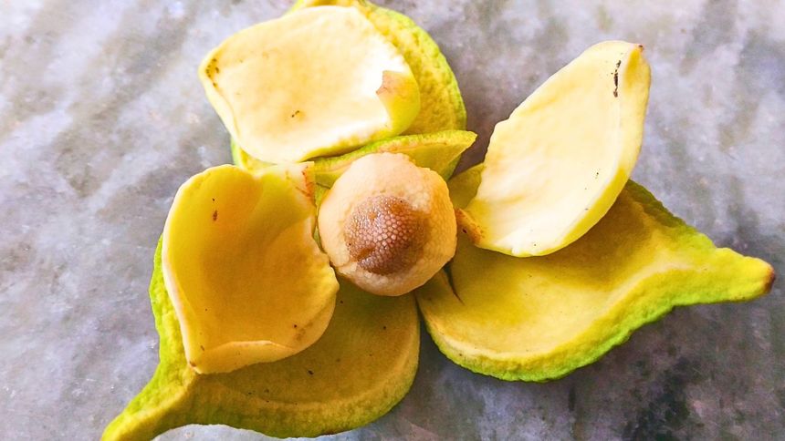 Ten owoc wspomoże twoje zdrowie