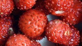 To skarbnica zdrowia i zbawienie dla serca