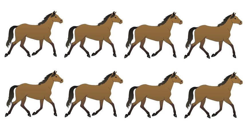 Optyczna zagadka IQ. Tylko mistrz odnajdzie różnicę w 6 sekund 