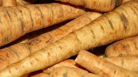 Pasternak jest bombą odżywczą  