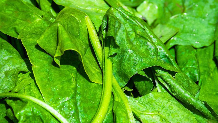 To warzywo może zaszkodzić stawom