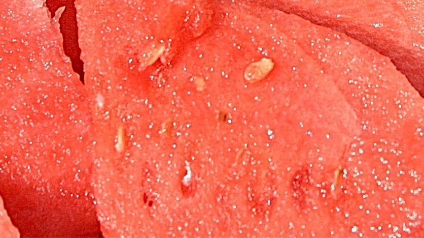 Czy można jeść pestki arbuza?