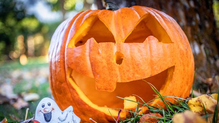 Skąd wzięło się Halloween?