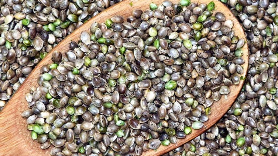 Te nasiona to mocarze