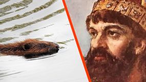 Tym żywił się Mieszko I