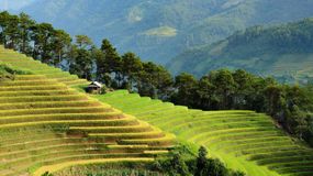 To najtańszy kraj na świecie