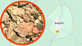 Takiego odkrycia dokonali leśniczy z podkarpacia