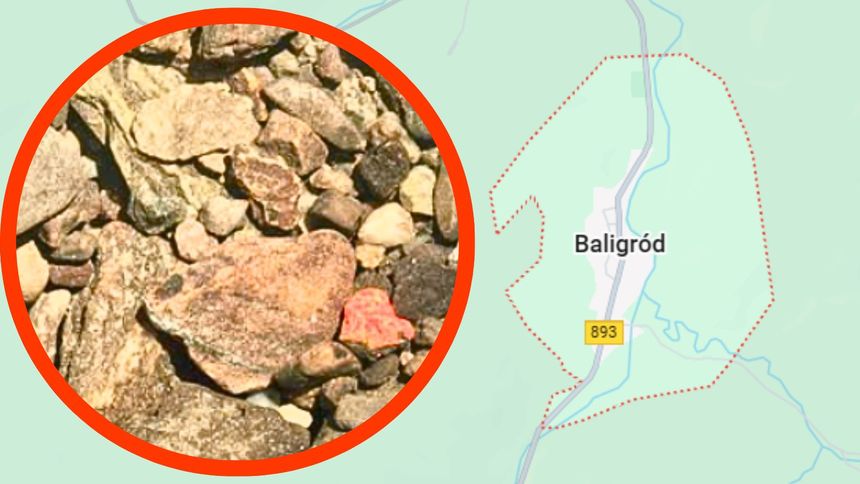 Takiego odkrycia dokonali leśniczy z podkarpacia