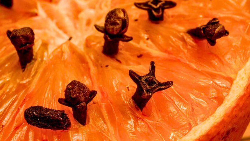 Takie właściwości mają goździki