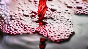 Popularny mit dotyczący wina został obalony