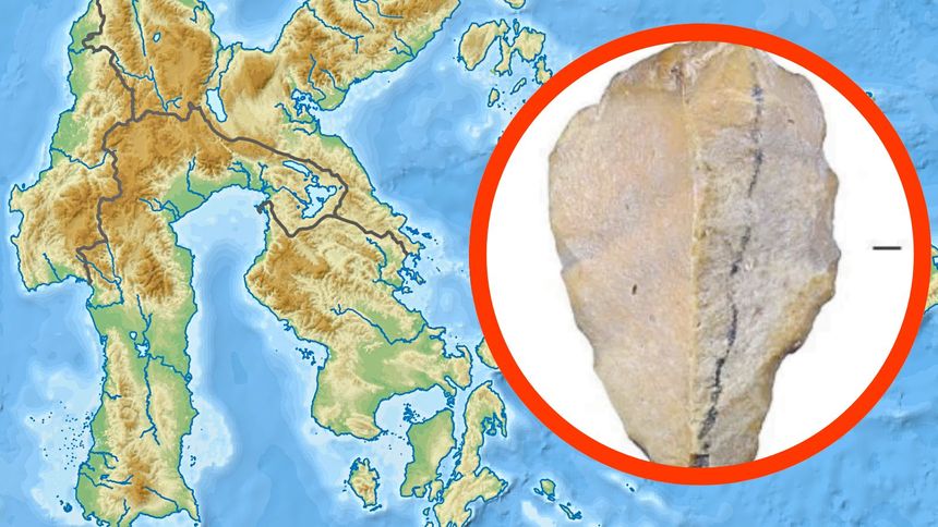 Naukowcy dokonali przełomowego odkrycia