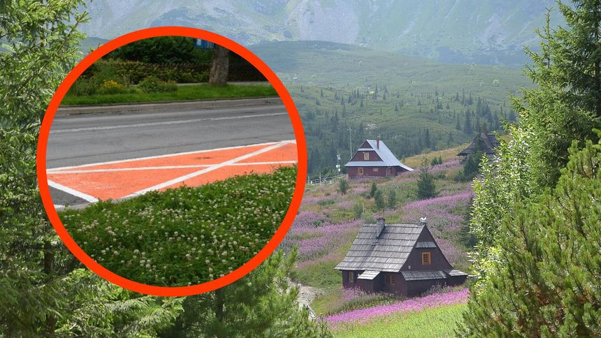 Pomarańczowe koperty na drodze 