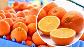 Ta odmiana pomarańczy jest bardzo popularna.