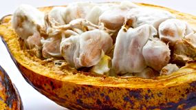 Polacy kiedyś go kochali, dziś zapomnieli