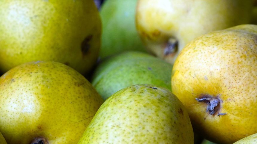 Owoc zbawienny dla jelit i nerek