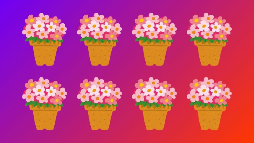 Zagadka IQ. Wskaż doniczkę inną niż pozostałe