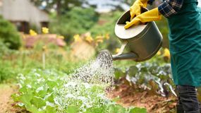 Ten błąd zniszczy twój ogród