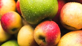 Ten owoc to wybawienie dla jelit. Rośnie go pod dostatkiem, a Polacy nie doceniają