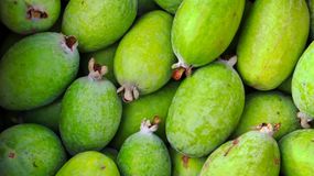 Włącz ten owoc do diety