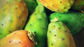 Ten owoc jest zbawieniem dla wątroby. Sięgaj po niego, by walczyć z toksynami