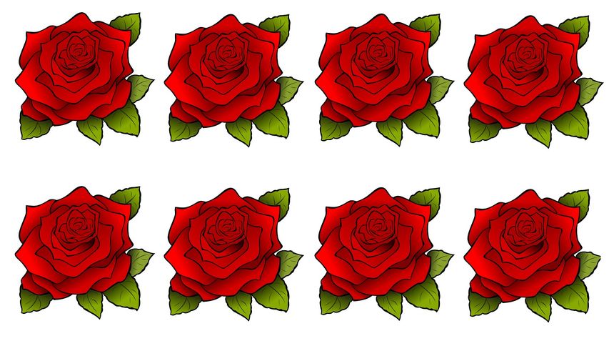 Test na IQ. Który kwiat jest inny? 6 sekund wystarczy tylko mistrzom