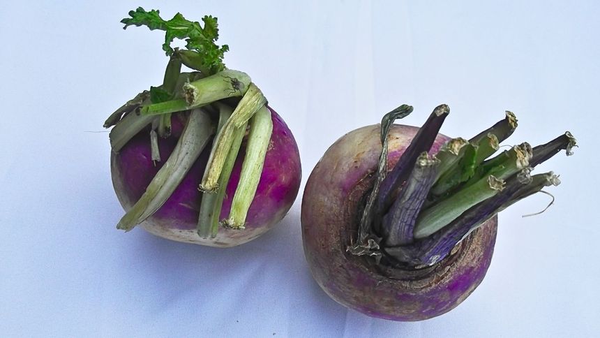 To warzywo wspomoże zdrowie