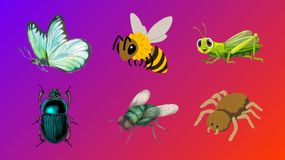 Psychotest. Wybierz owada