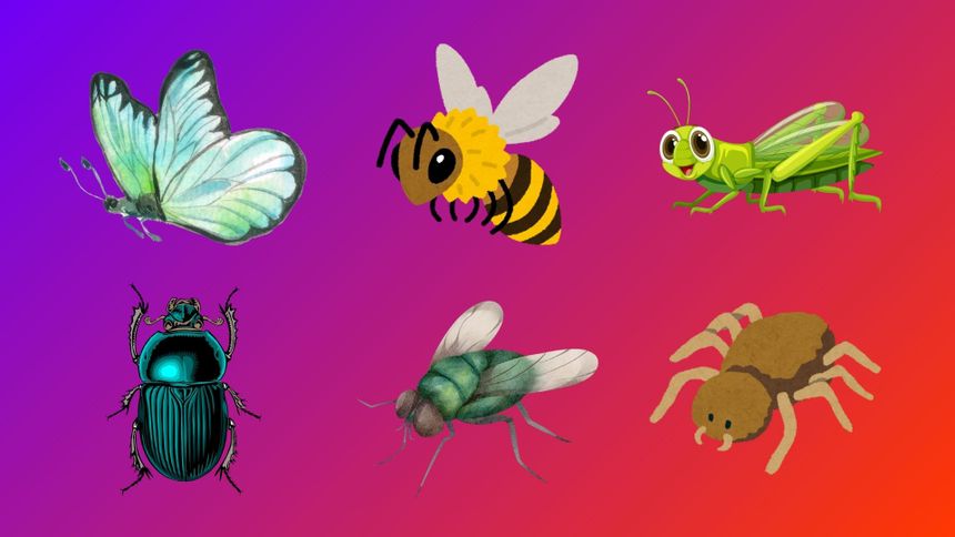 Psychotest. Wybierz owada