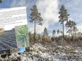 Widzieliście takie zjawisko?