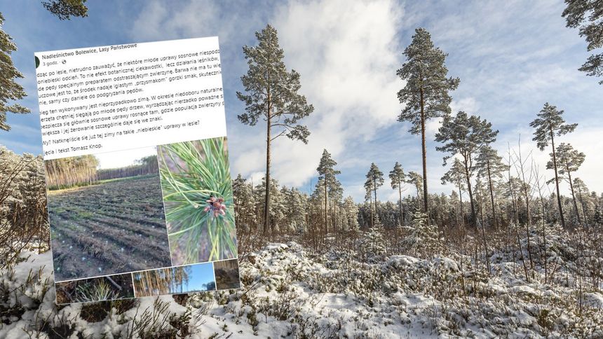 Widzieliście takie zjawisko?
