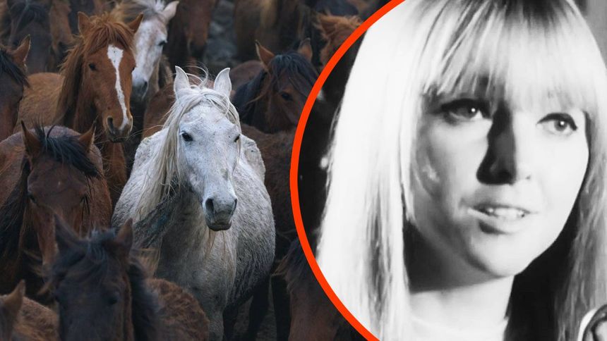 Ten hit lat 70. zrodził się we śnie.