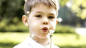 Znaczenie i pochodzenie imienia Mścisław 