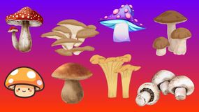 Psychotest. Który grzyb przemawia do ciebie najbardziej?