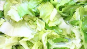 To warzywo jest kopalnią składników odżywczych